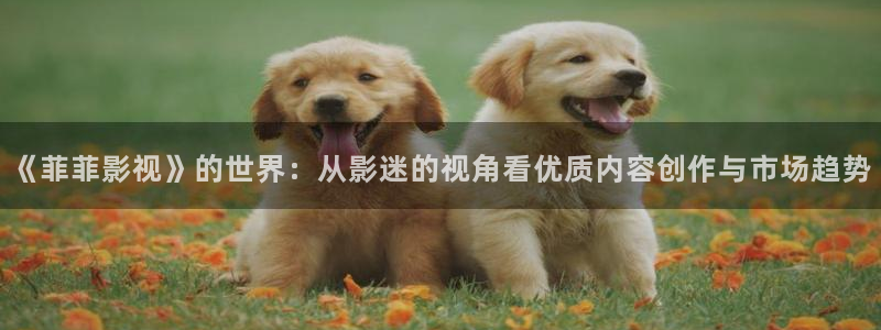 橘子電影完整版免費(fèi)觀看：《菲菲影視》的世界：從影迷的視角看優(yōu)質(zhì)內(nèi)容創(chuàng)作與市場(chǎng)趨勢(shì)